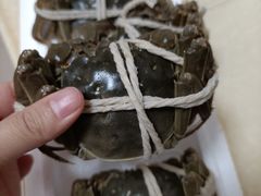 -七星龙虾城·海鲜·大闸蟹(吴江店)