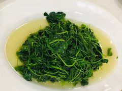 酒香草头-淮扬韵.淮扬味道