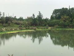 -桤木河湿地公园