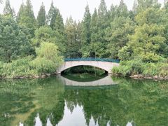 -东平国家森林公园