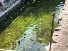 -京北渔家傲