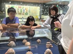 -青岛贝壳博物馆