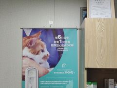-爱佳宠物中心医院24H·CT·骨外科·猫专科(瑶海万达店)