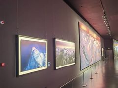 -罗红摄影艺术馆