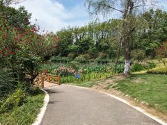 -桤木河湿地公园