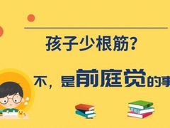 -多特儿童专注力·感统训练·注意力提升培训(锦峰训练中心)