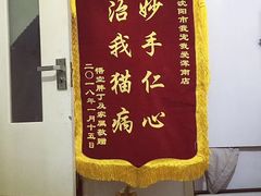 -瑞派宠物医院·24h·骨外科·皮肤科·全科宠物医疗转诊中心(沈阳浑南院)
