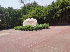 -莲花池公园