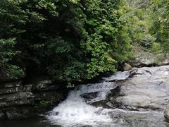 -海南热带雨林国家公园吊罗山景区