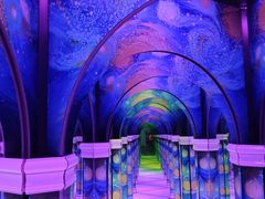 -天津梵高星空艺术馆(天河城旗舰店)
