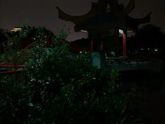 -金砂公园