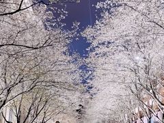 -洋湖国家湿地公园