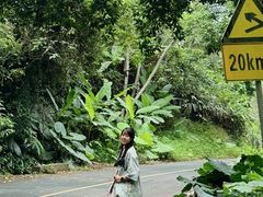 -海南热带雨林国家公园吊罗山景区