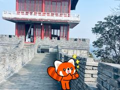 -黄贤森林公园