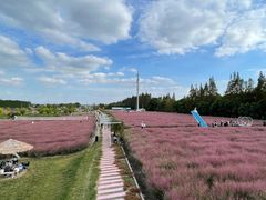 -嘉北郊野公园