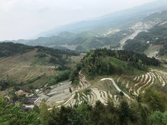 -紫鹊界梯田景区