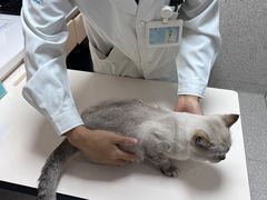 -谐和贝康宠物医院24小时·宠保定点(急重症转诊中心)
