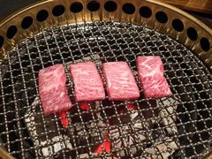 -300杯·和牛烧肉清酒专门店(廊里店)