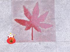 -香山公园