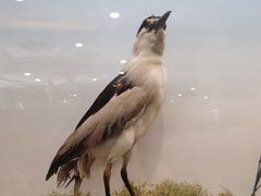 -下渚湖国家湿地公园科普馆