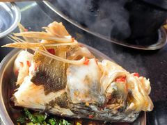 -老杨砂锅鱼庄