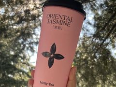 -茉莉奶白(天水秦州万达广场店)