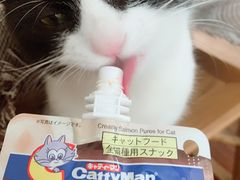 -萌兽医馆·犬猫专科·眼科中心·宠物医院(朝阳门分院)