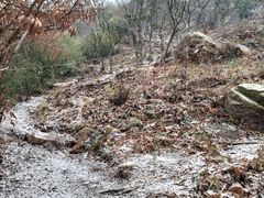 -树山生态村