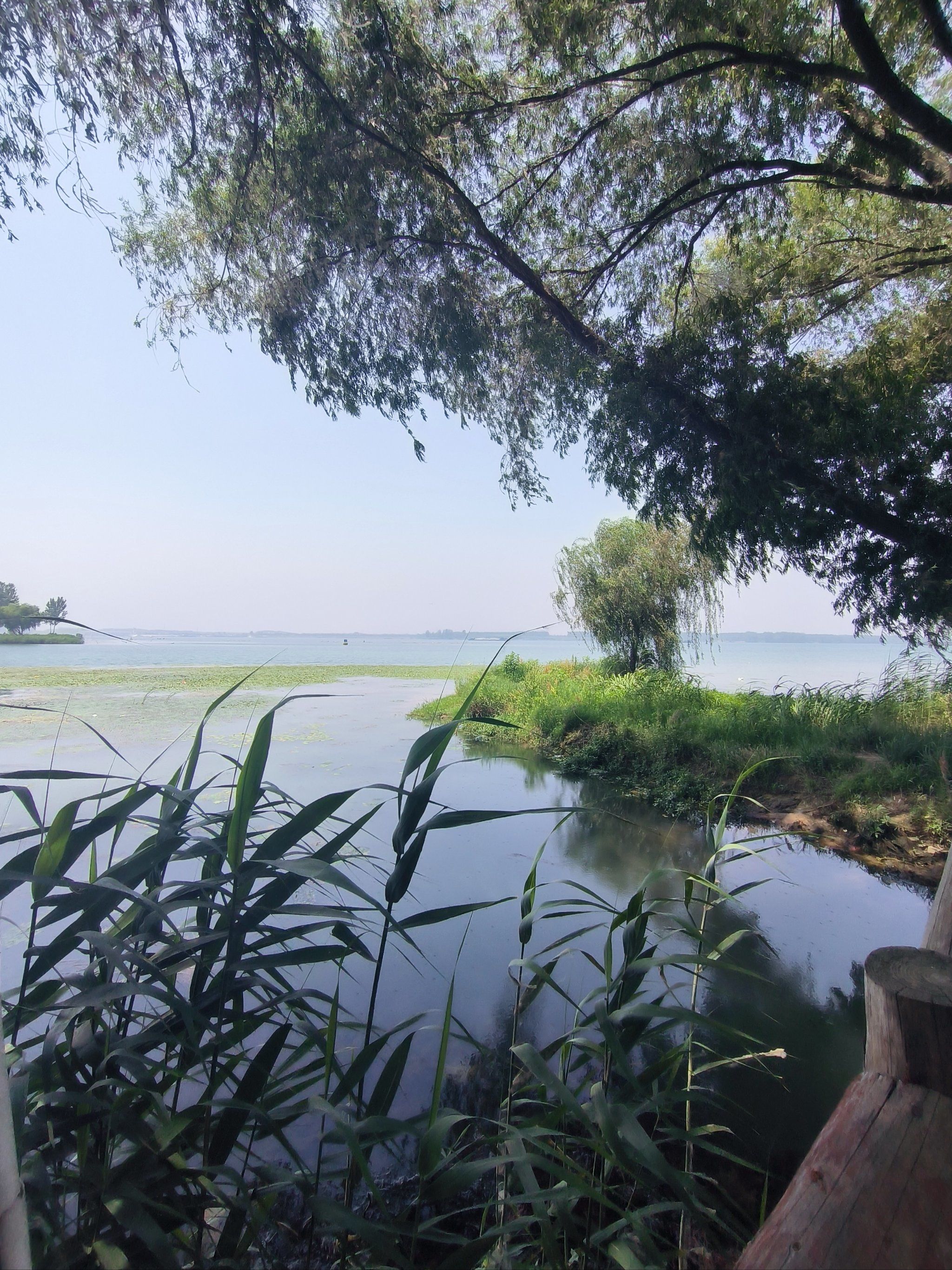 周末湖边垂钓的惬意