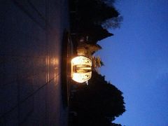 android_upload_pic-紫荆山公园