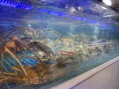 -日进一片海.生腌海鲜火锅.宵夜烧烤(三里屯总店)