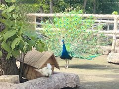 -哈尔滨北方森林动物园