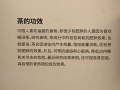 -雪绿茶博物馆