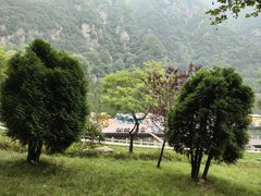 -秦岭终南山世界地质公园翠华山景区