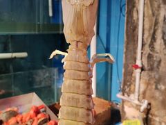 -辉记炭烧海鲜大排档·老字号(福田店)