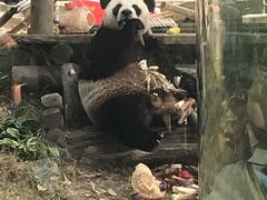 -大连森林动物园