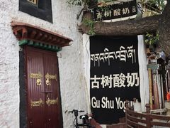 -古树酸奶(八廓南街店)