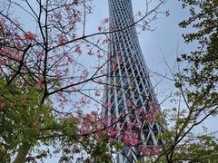 -广州塔
