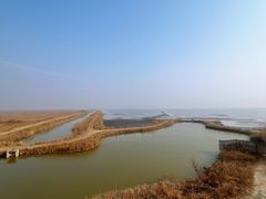 -盐城丹顶鹤湿地生态旅游区