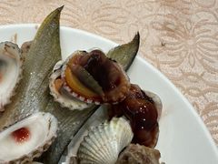 -汕头金乐大酒店