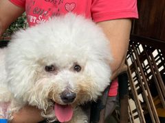 -严国平动物医院(德政总院)