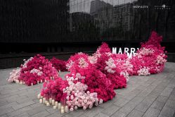 -三色锦婚礼定制