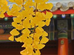 -承恩寺