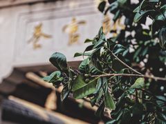 -糖潮糖水铺(省府店)