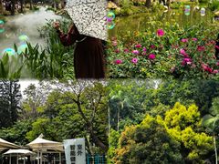 -人民公园(罗湖区)