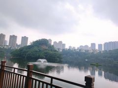 -重庆彩云湖湿地公园
