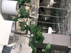 大堂-娜娜家·Nana's restaurant(国金汇店)