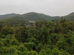 -句容茅山景区