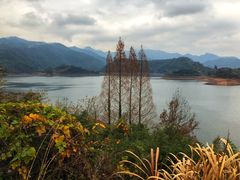 -亭下湖饭店(康岭店)