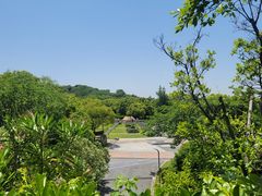 -上海吴淞炮台湾国家湿地公园